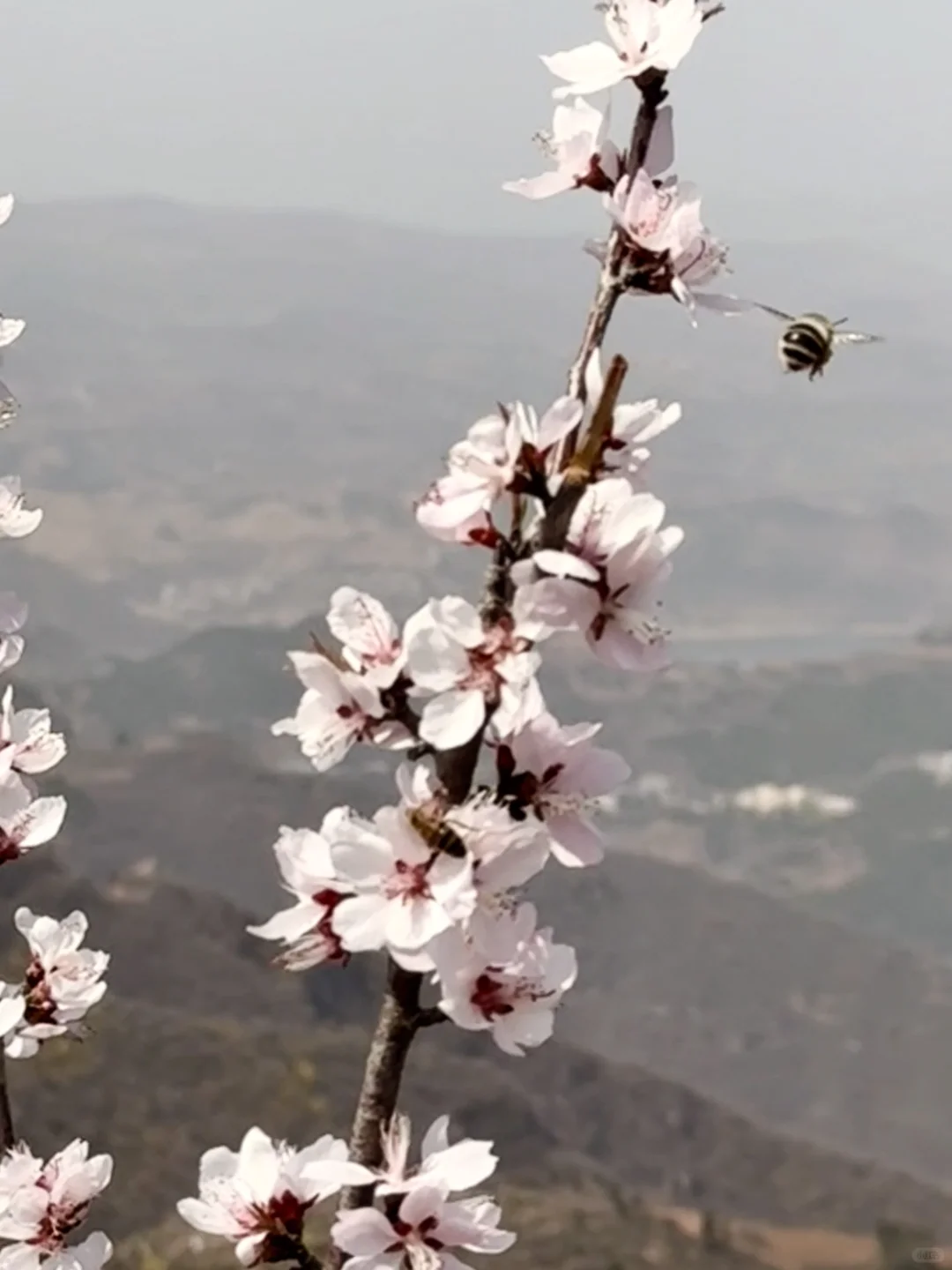洛阳1.5h直达❗️小众亲子游地❗️人少景美速藏