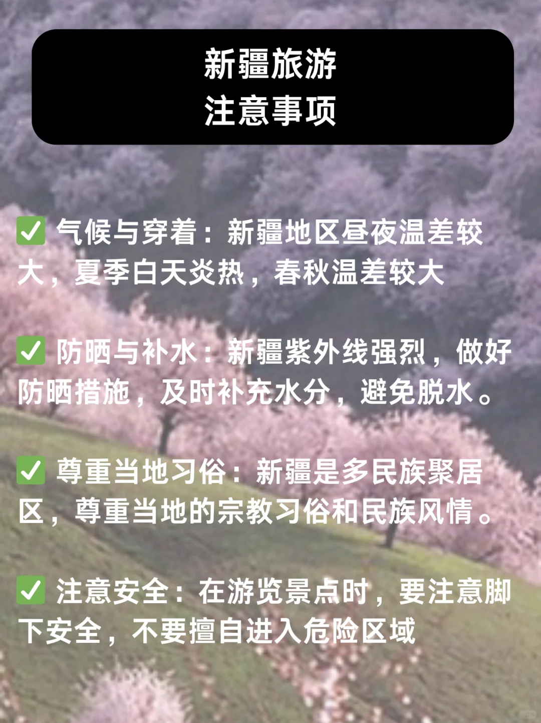 🌟【伊犁杏花7日】人均2680起！