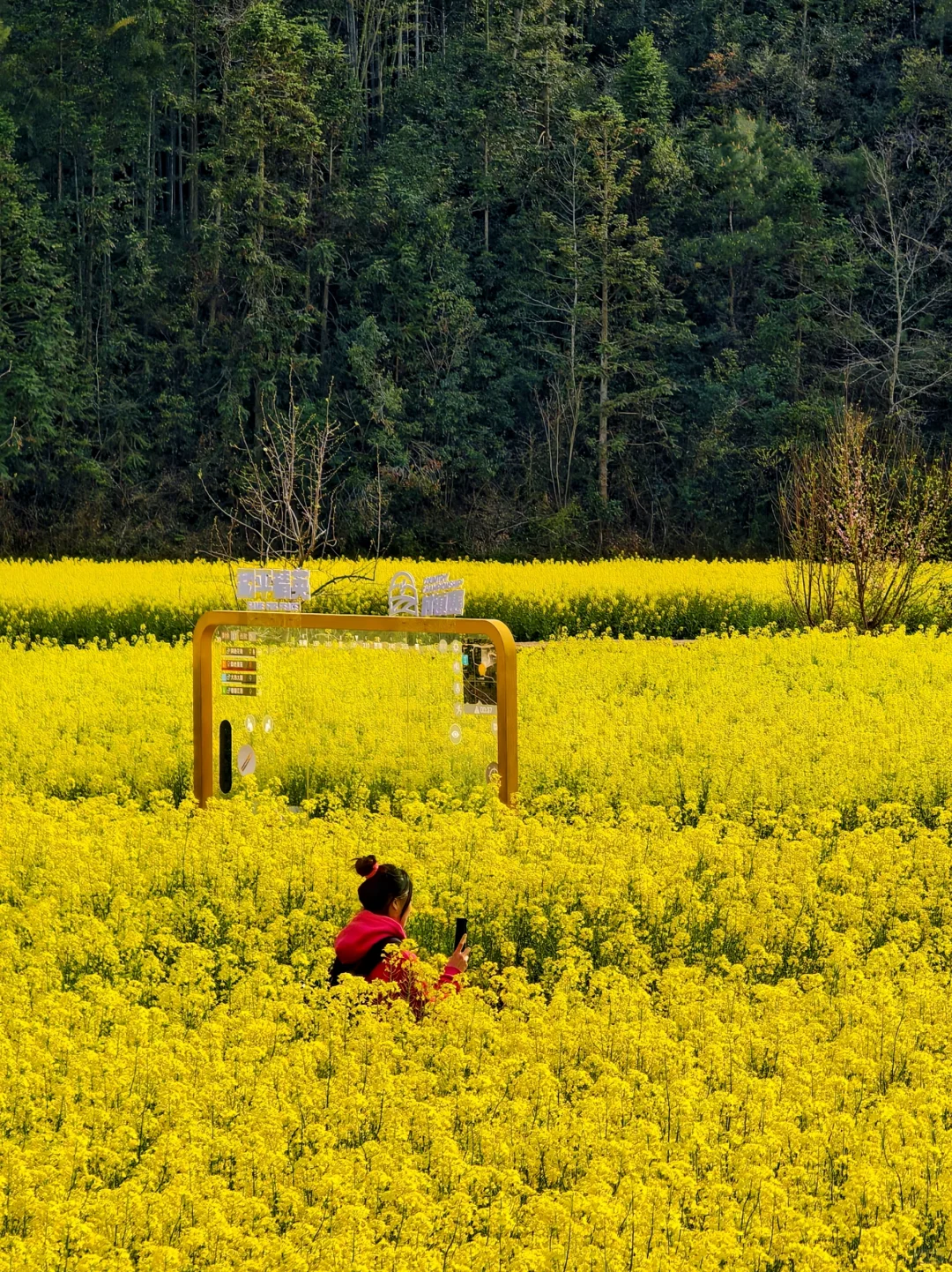 婺源-菊径村、凤山村、漳村、思溪延村