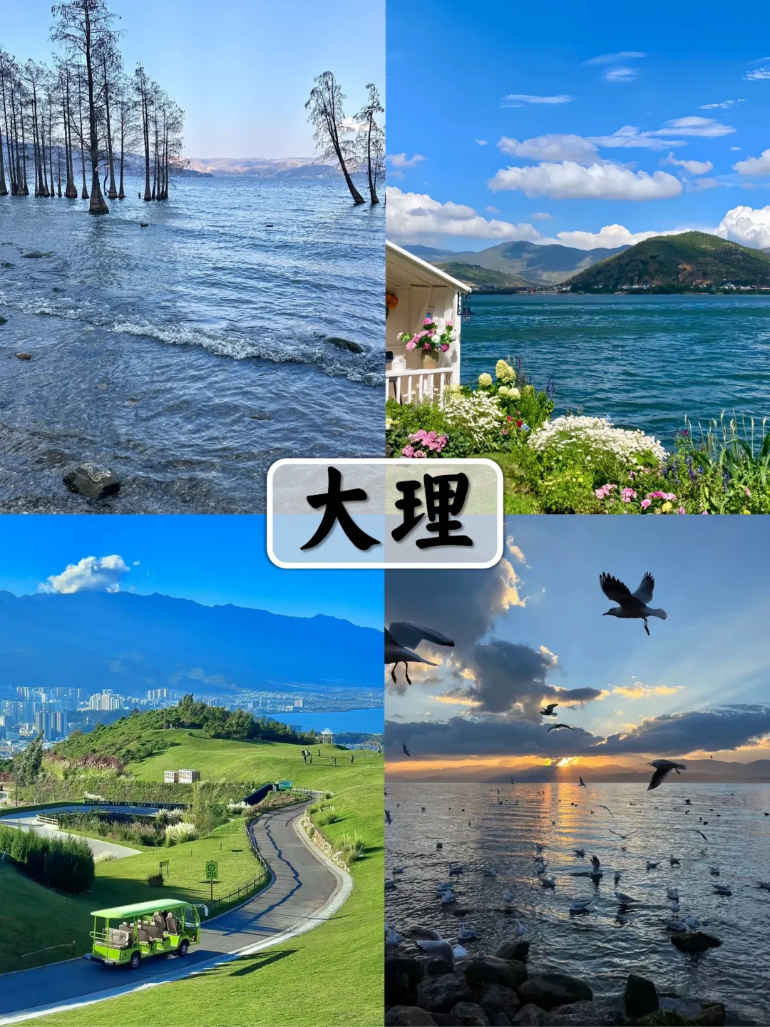 💯云南旅游保姆级攻略💰人均1k+带你玩