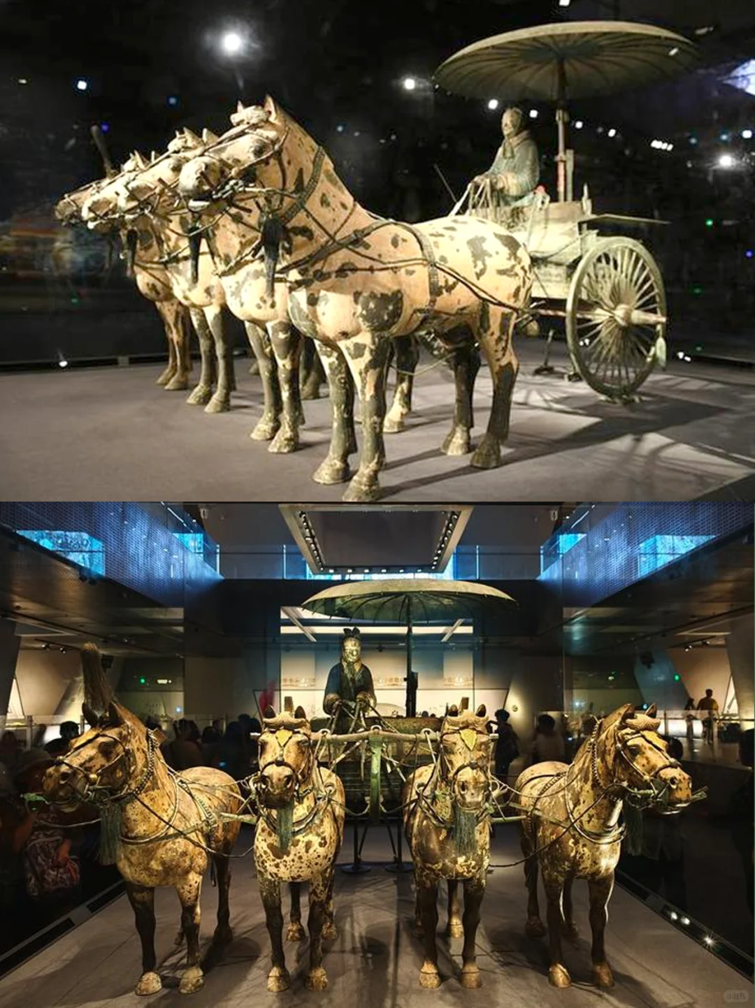 15人兵马俑丽山园千古情精致纯玩，人均200+