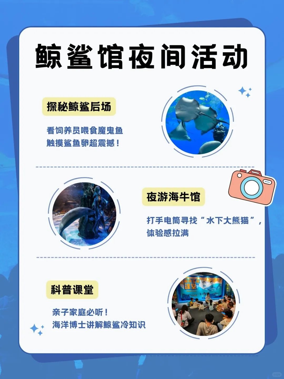 真实体验！珠海长隆鲸鲨馆夜宿全攻略🌊