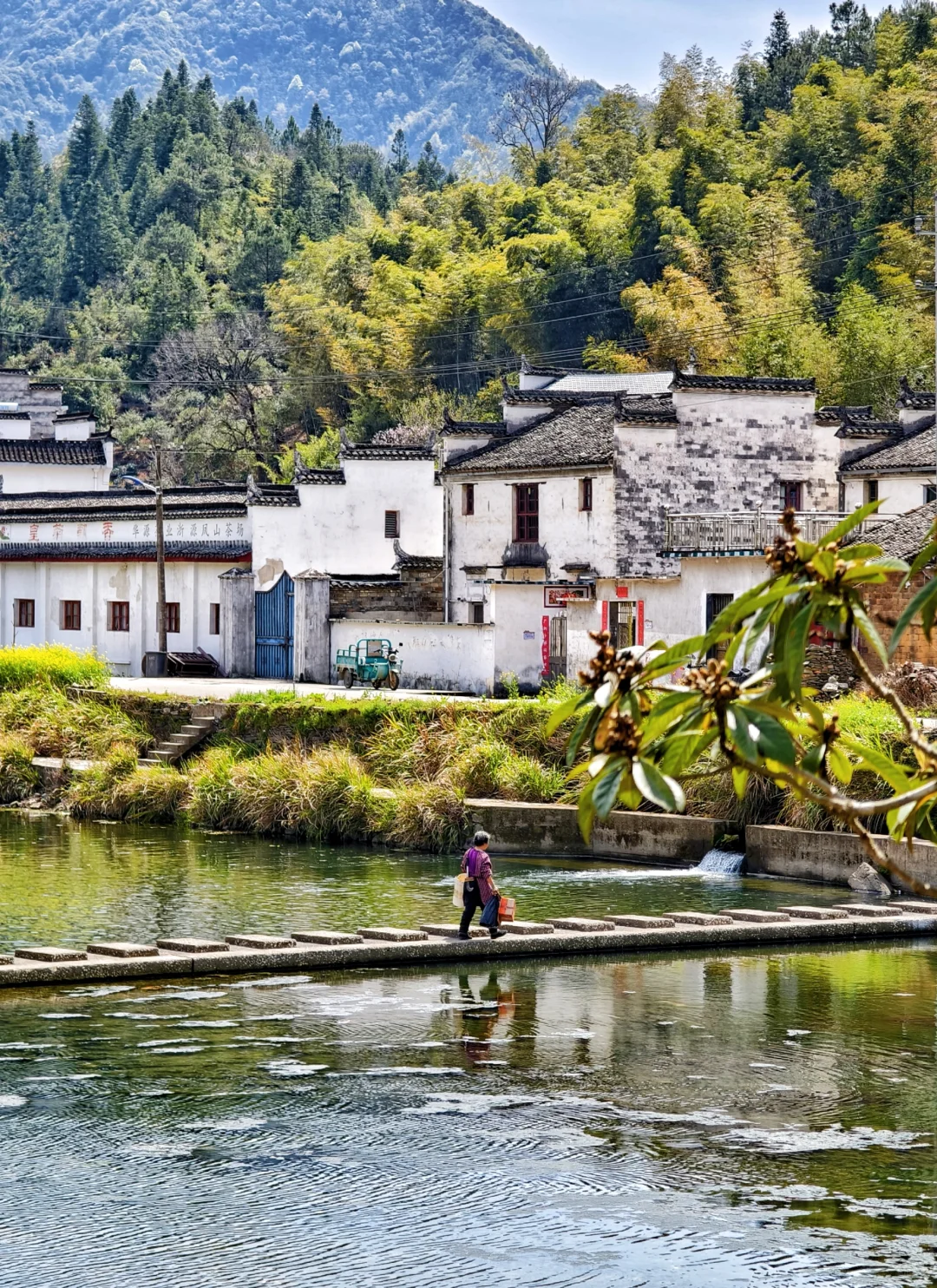 婺源-菊径村、凤山村、漳村、思溪延村