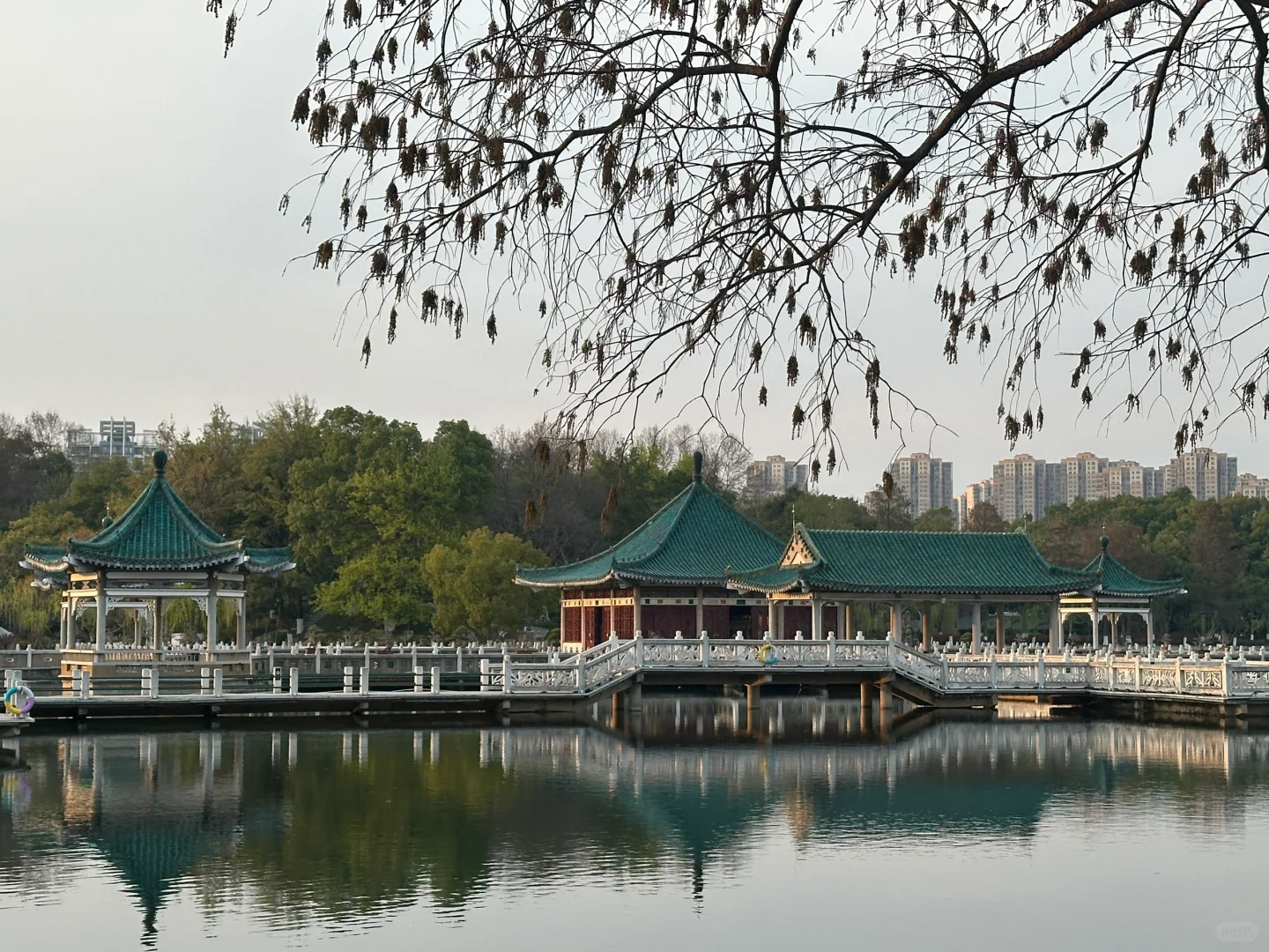 听涛景区｜谁又幸福了！