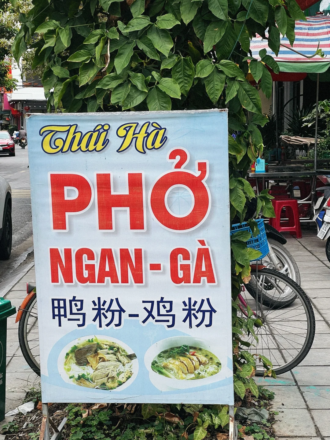 芒街一日游🎈能帮一个是一个😂😂😂