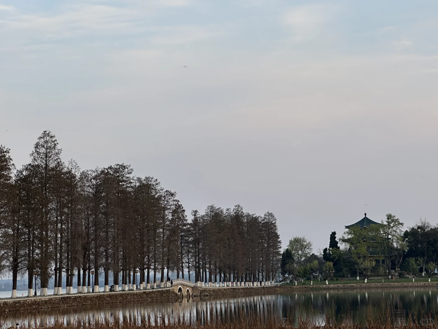 听涛景区｜谁又幸福了！