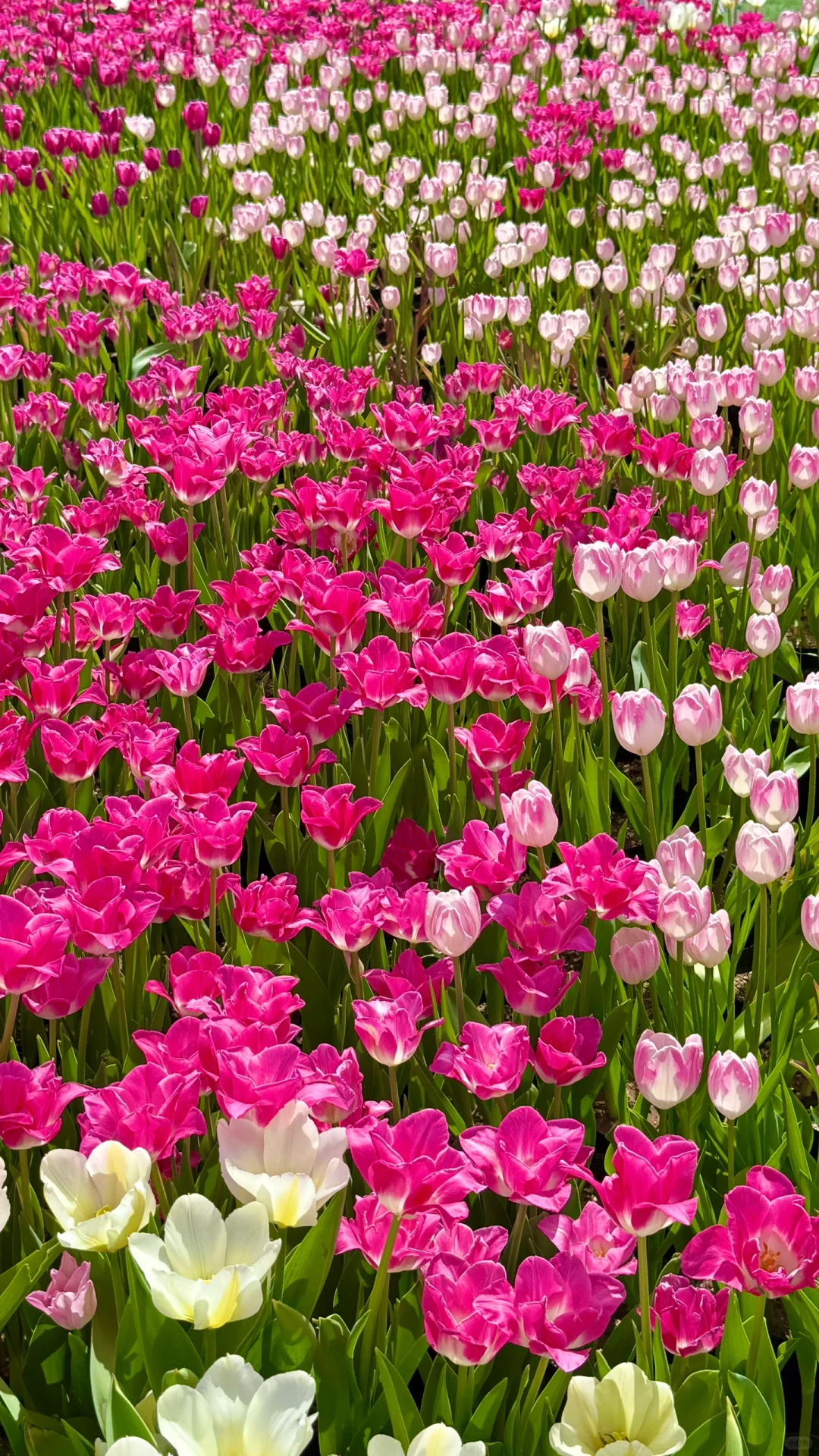 ⛰️新乡宝泉「太行山里的蓝眼泪🩵」