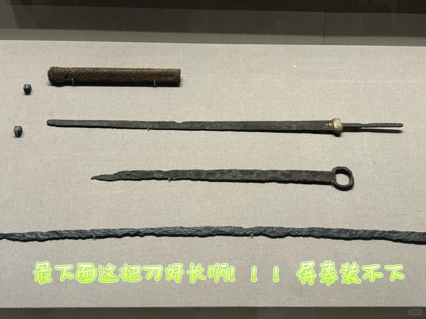 博物馆的奇奇怪怪～～～🤩