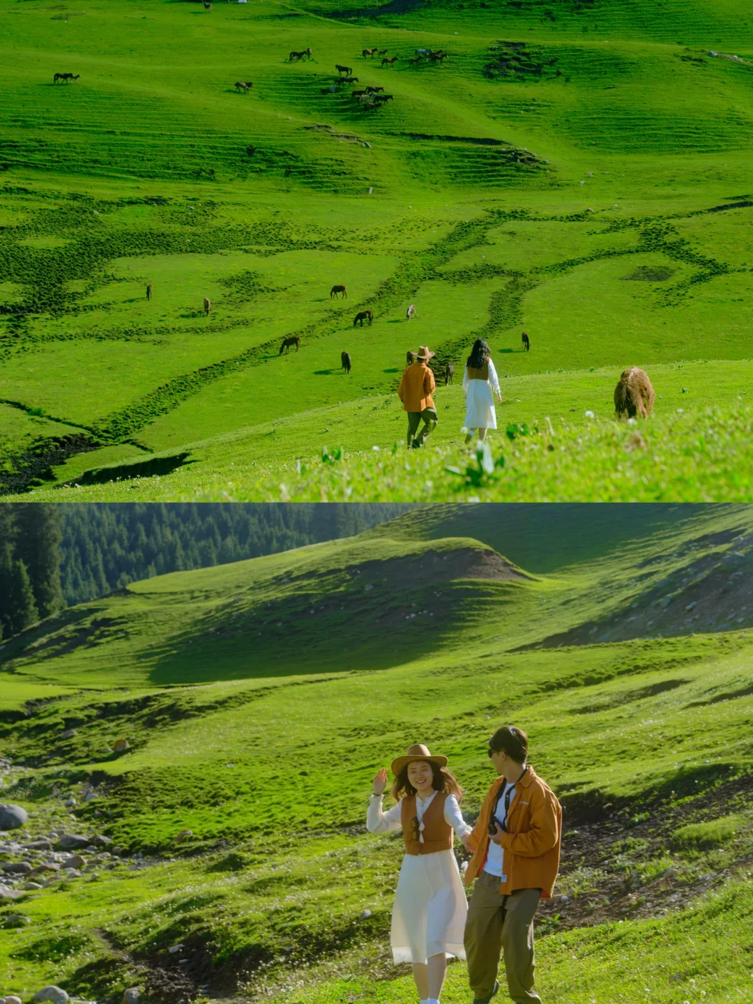 计划5~6月去新疆，这些你不能不知道的内幕~