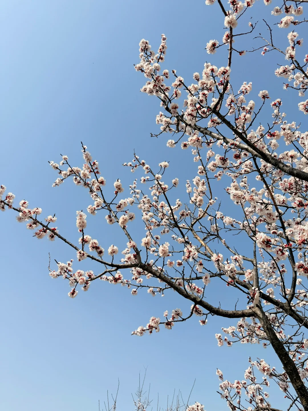 洛阳1.5h直达❗️小众亲子游地❗️人少景美速藏