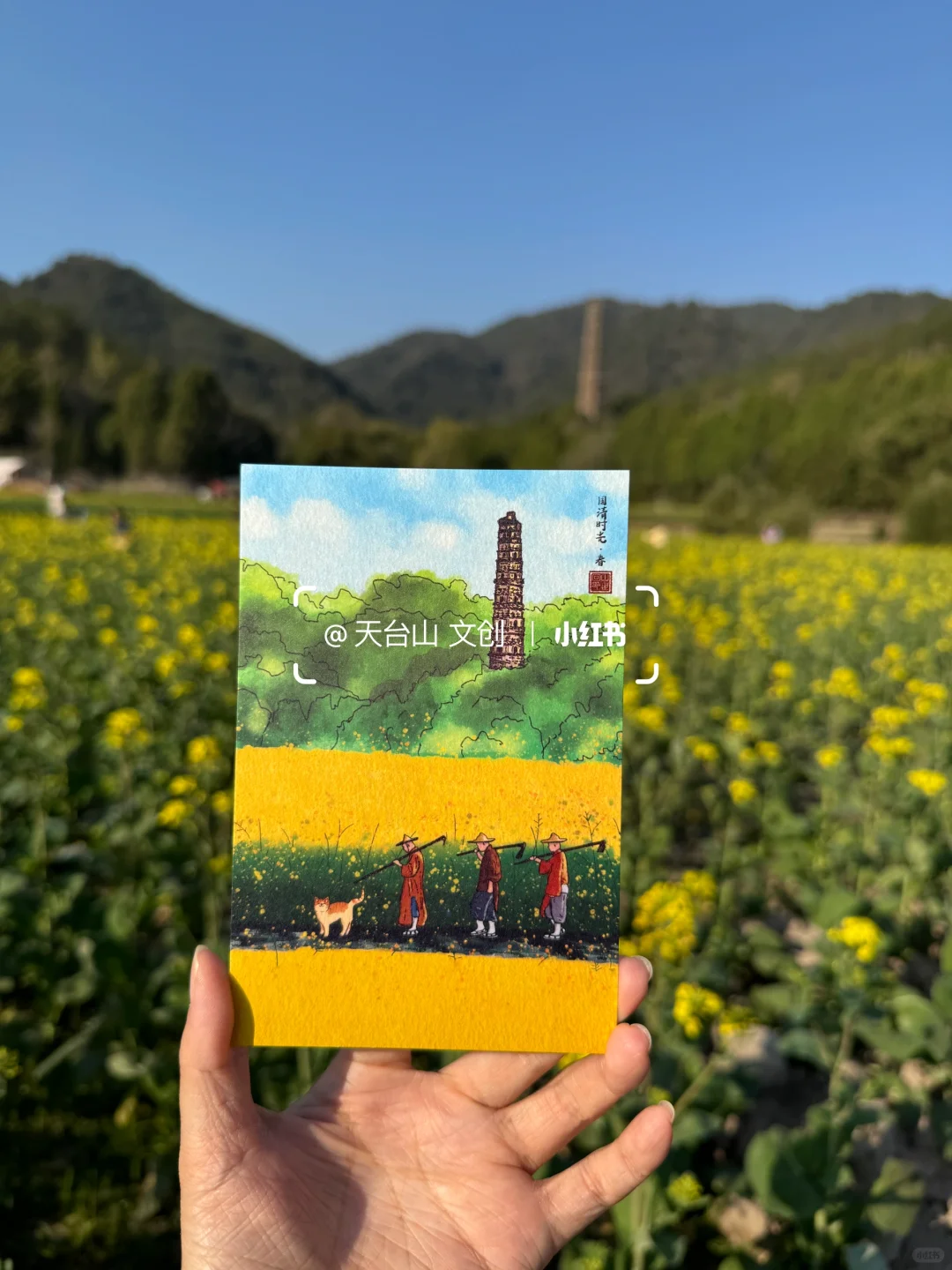 国清寺油菜花已美到next level！4.2实况