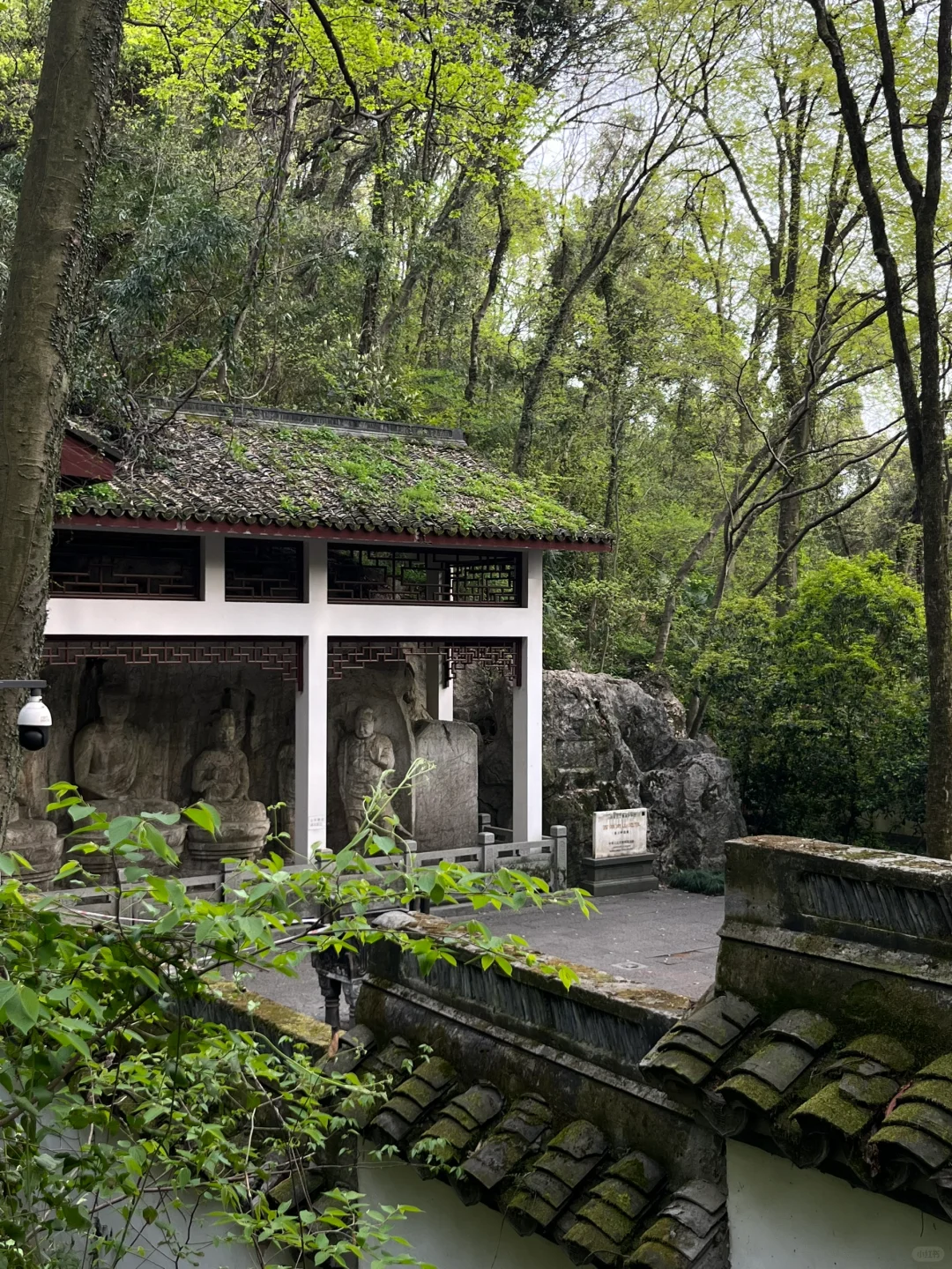 上个春山⛰️杭州玉皇山