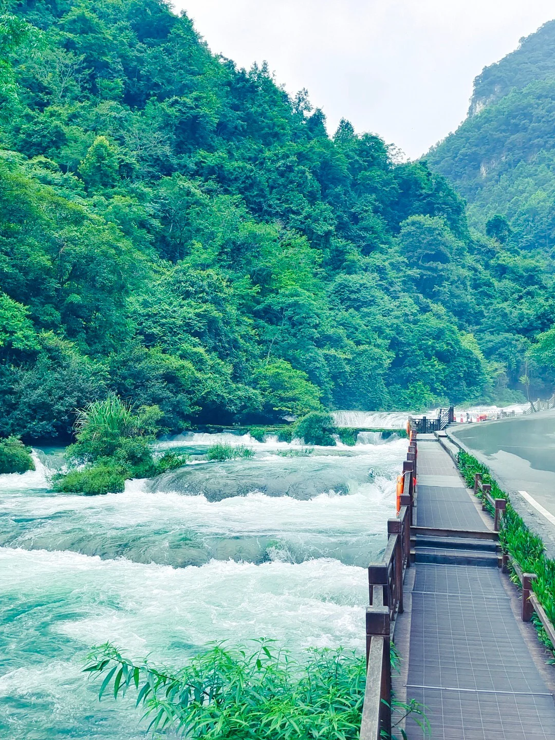 三刷荔波，住宿我只推荐景区内！556俩人
