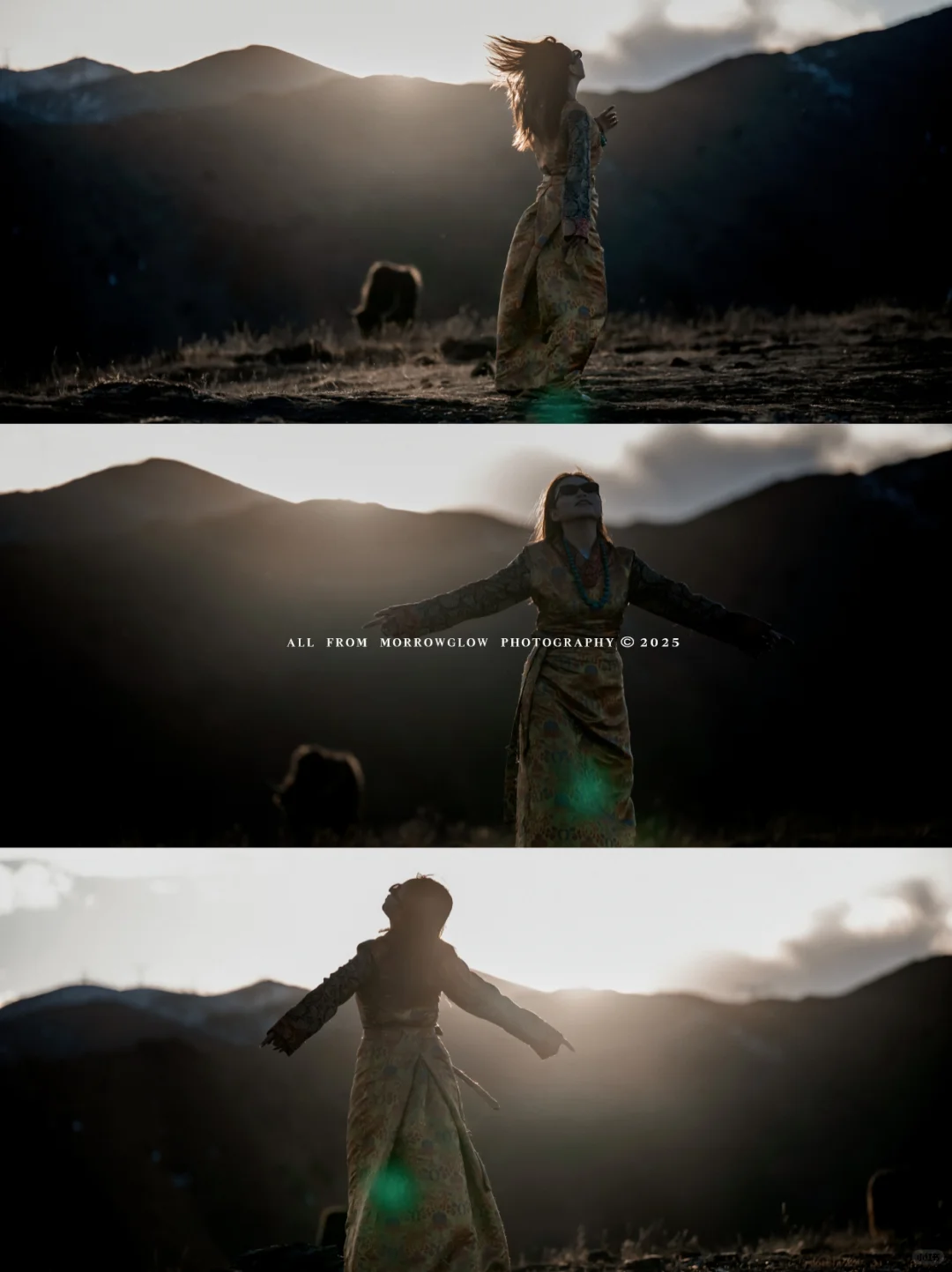 不挤鱼子西，这个免费小众观景台更出片