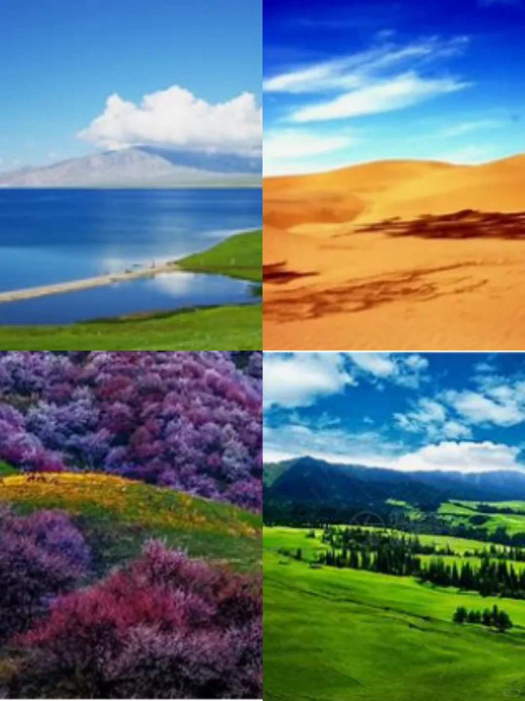 🌟【伊犁杏花7日】人均2680起！