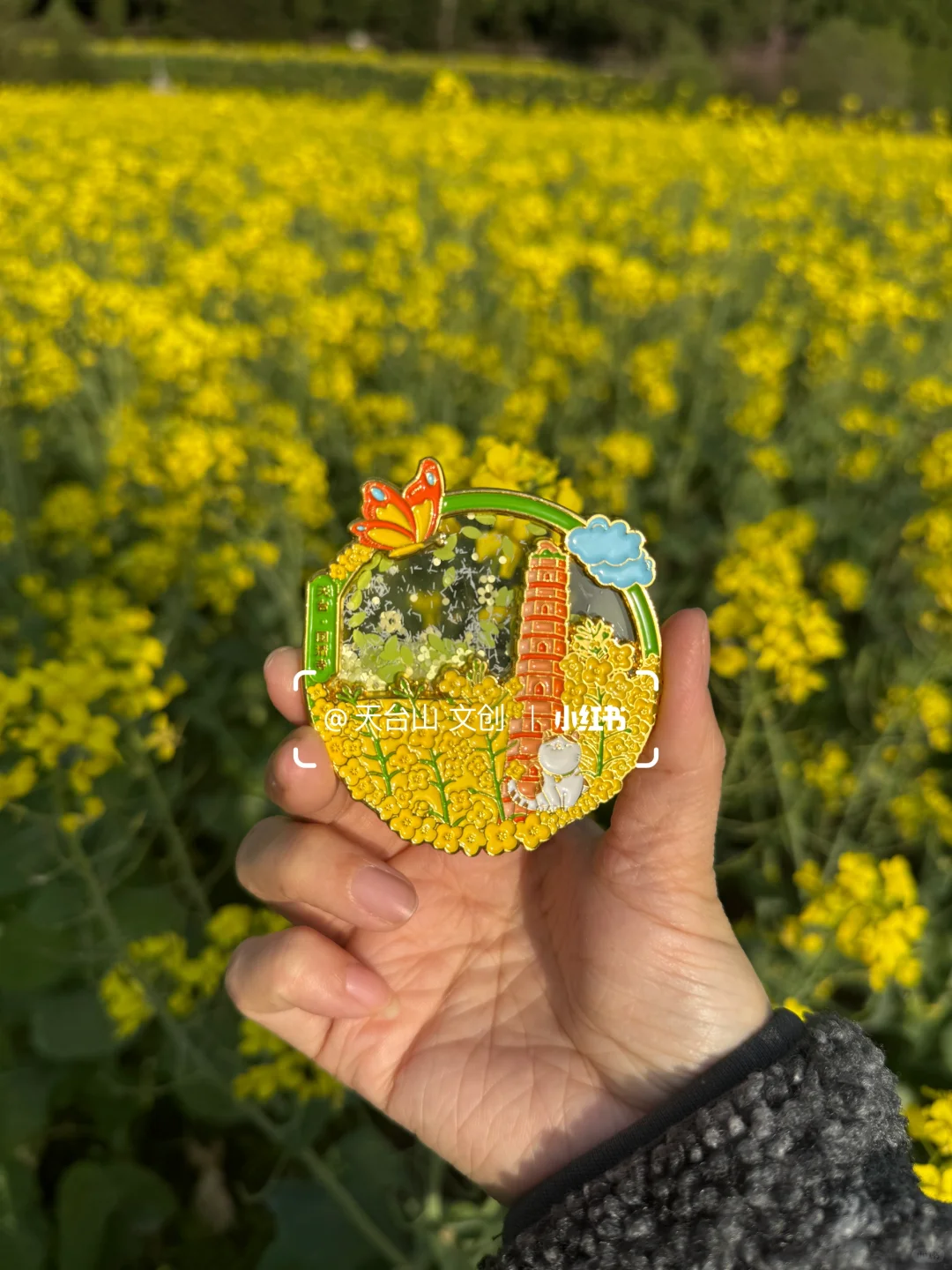 国清寺油菜花已美到next level！4.2实况