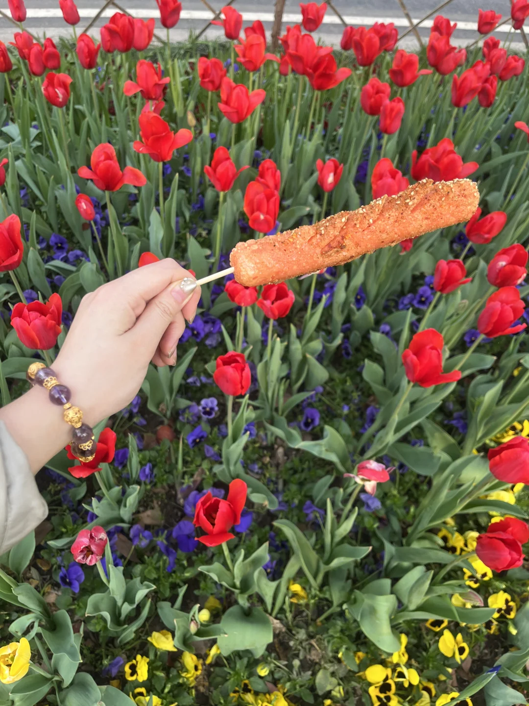 景区的淀粉肠 简直人生猫条🐱