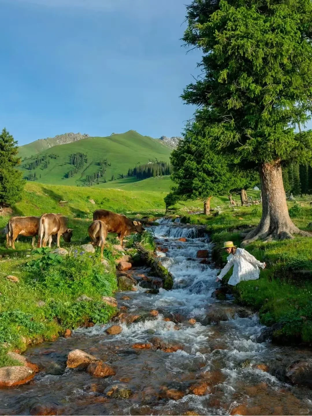 计划5~6月去新疆，这些你不能不知道的内幕~