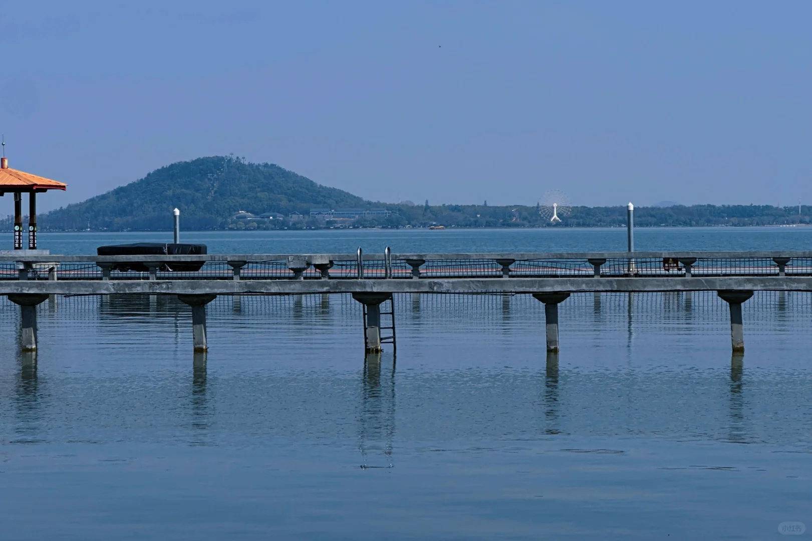 听涛景区｜谁又幸福了！