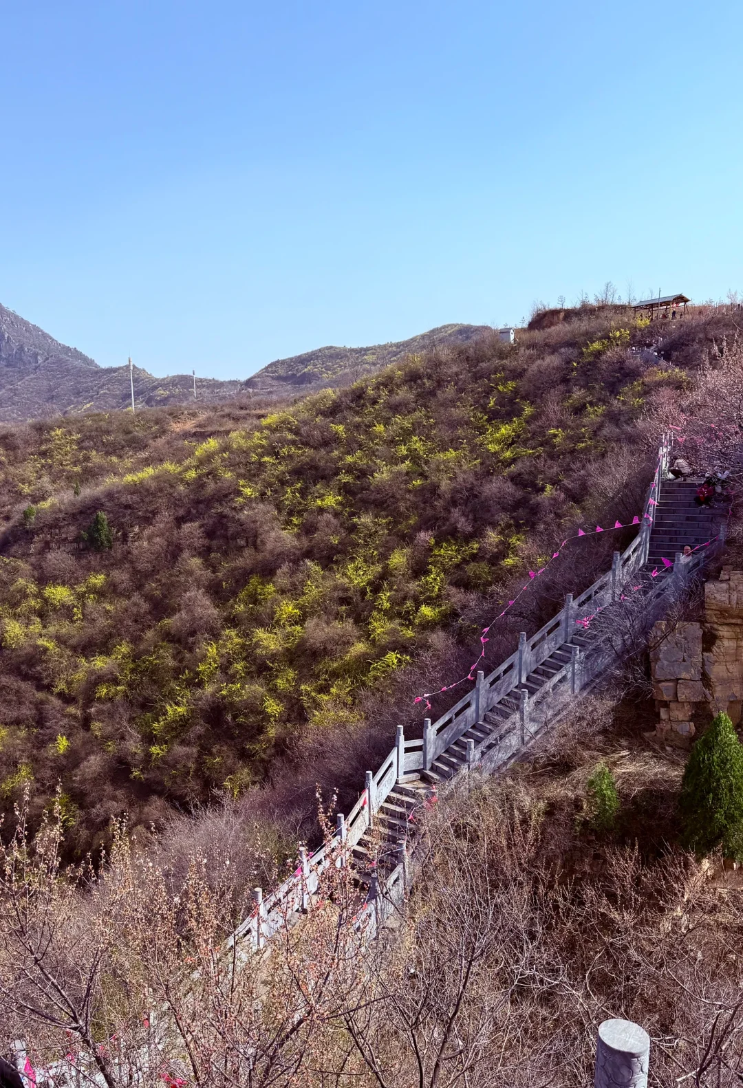 洛阳1.5h直达❗️小众亲子游地❗️人少景美速藏