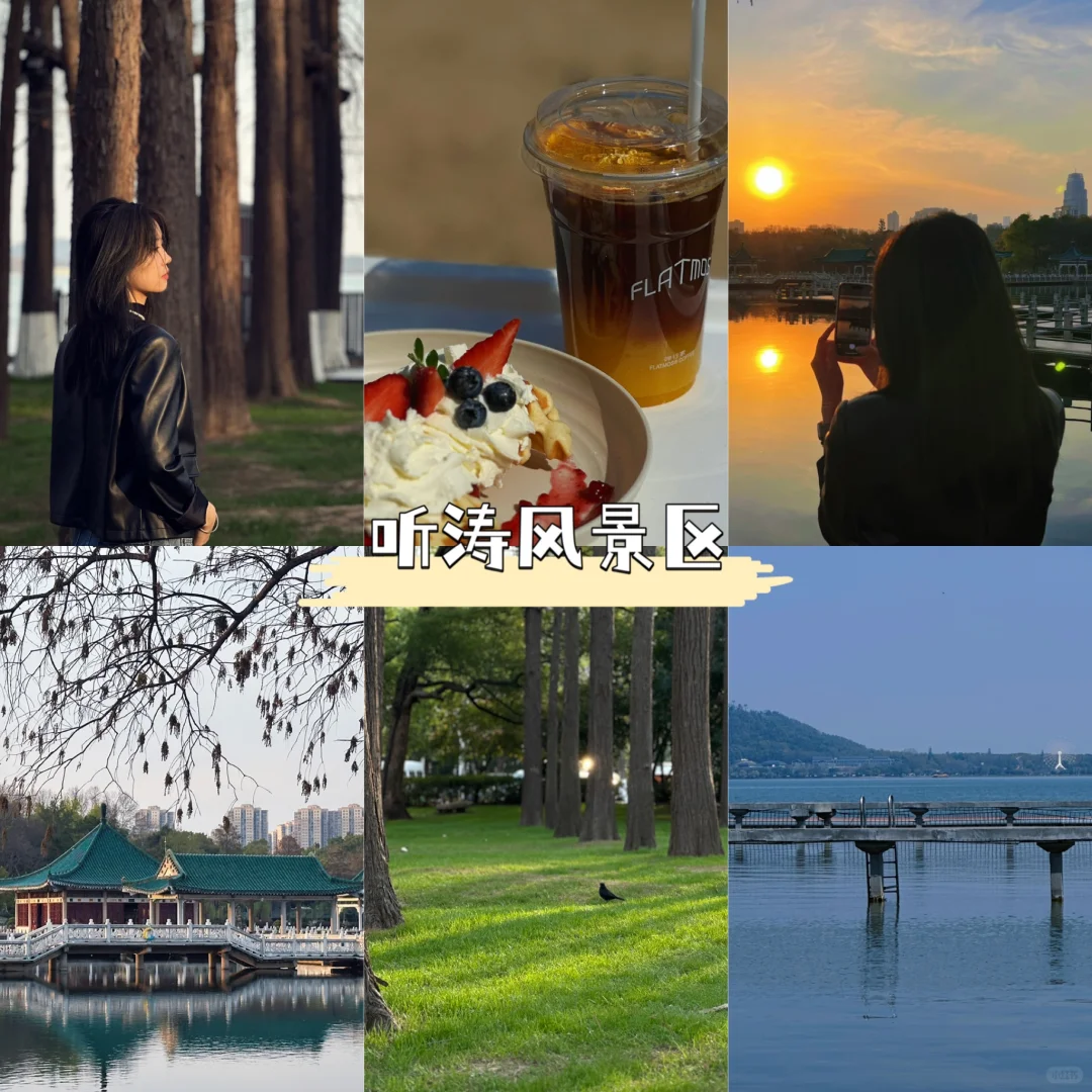 听涛景区｜谁又幸福了！