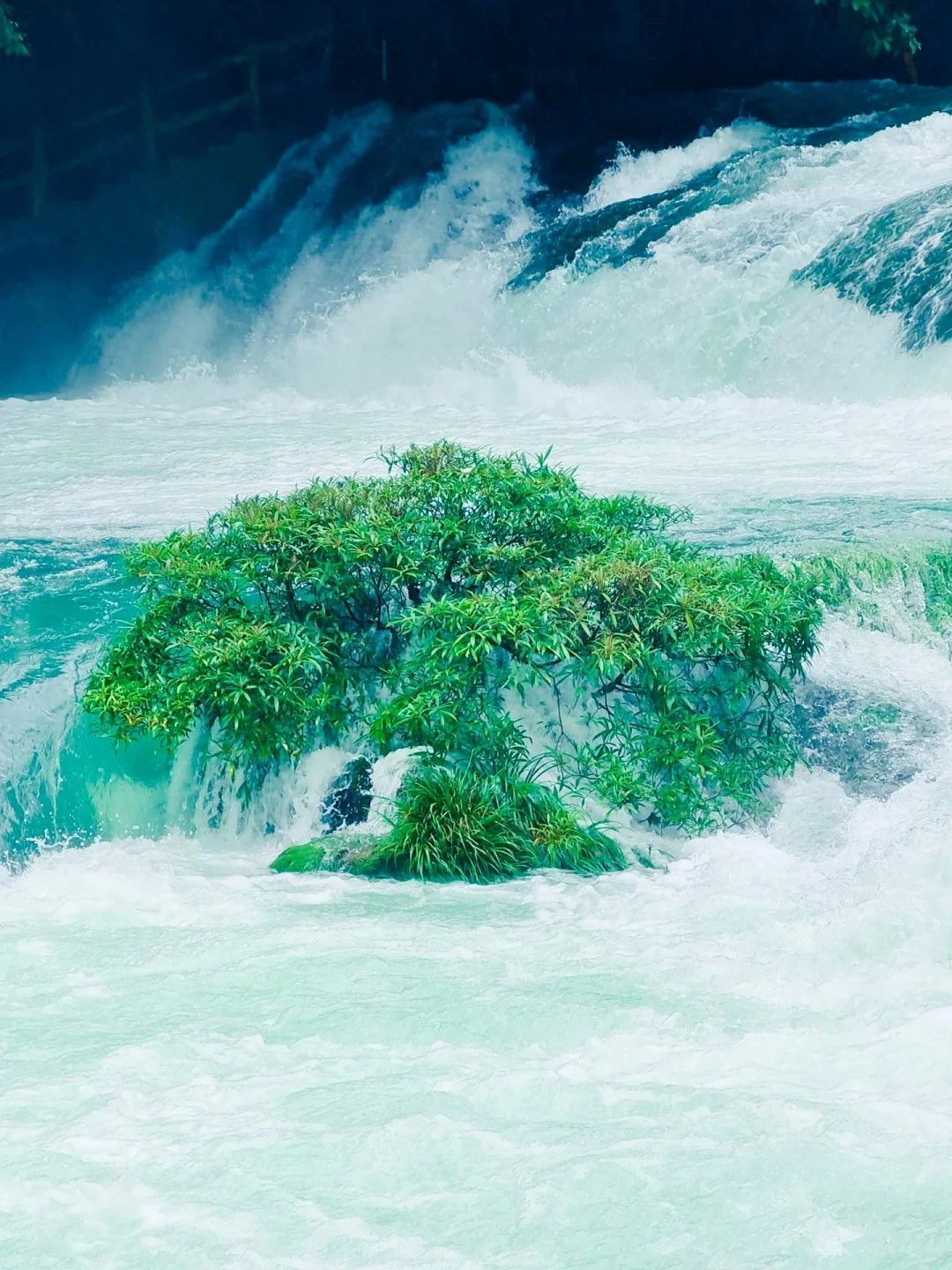 三刷荔波，住宿我只推荐景区内！556俩人