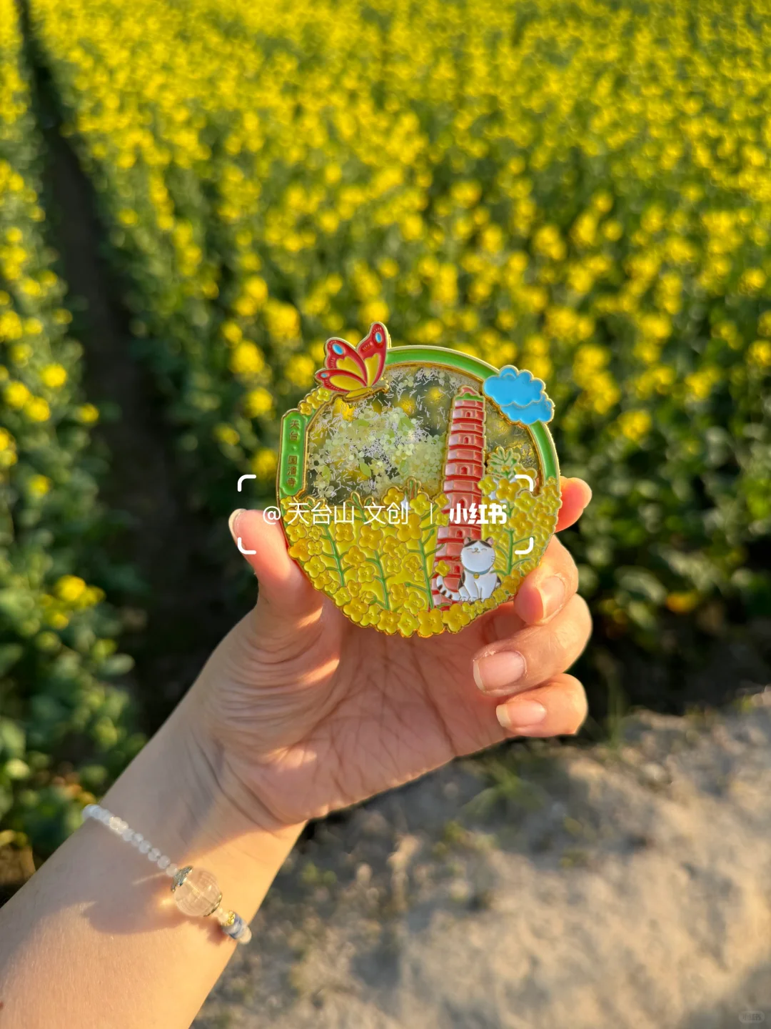 国清寺油菜花已美到next level！4.2实况