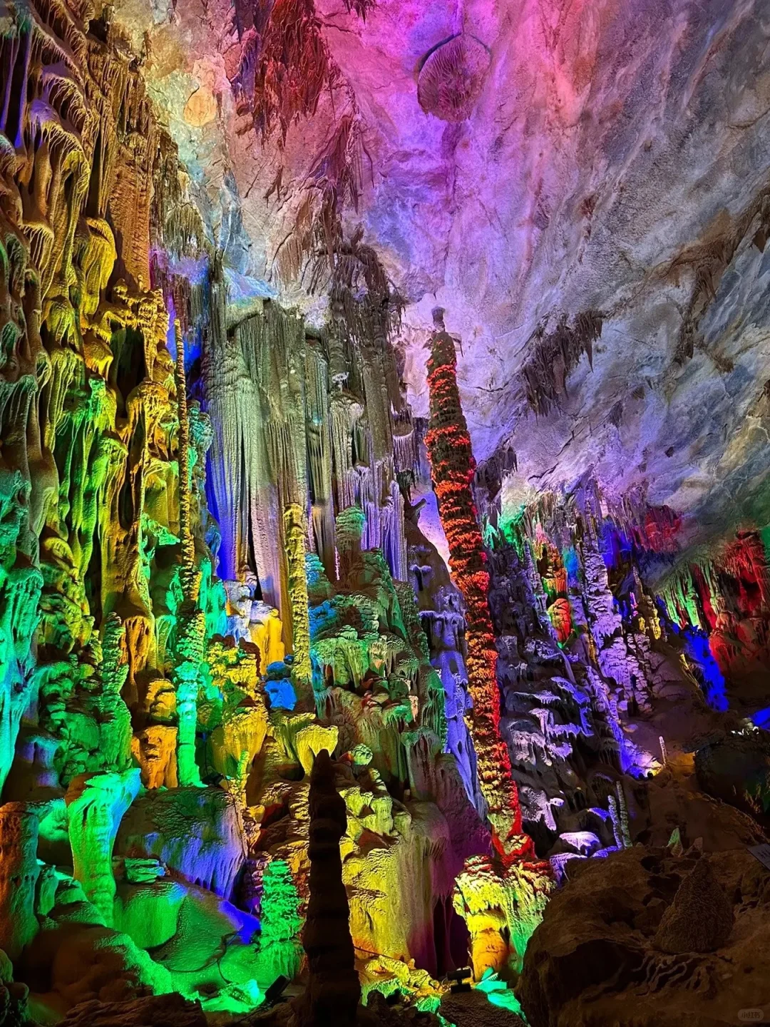 📌世界长寿之乡｜广西巴马村最全攻略！