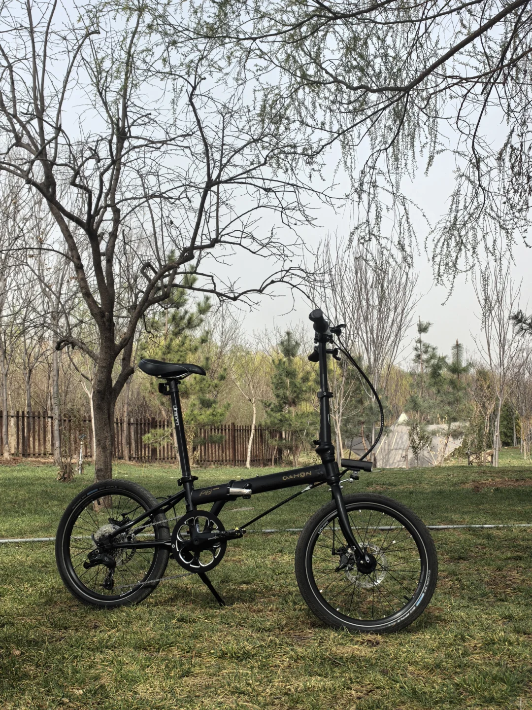 大行P8搭子在哪里