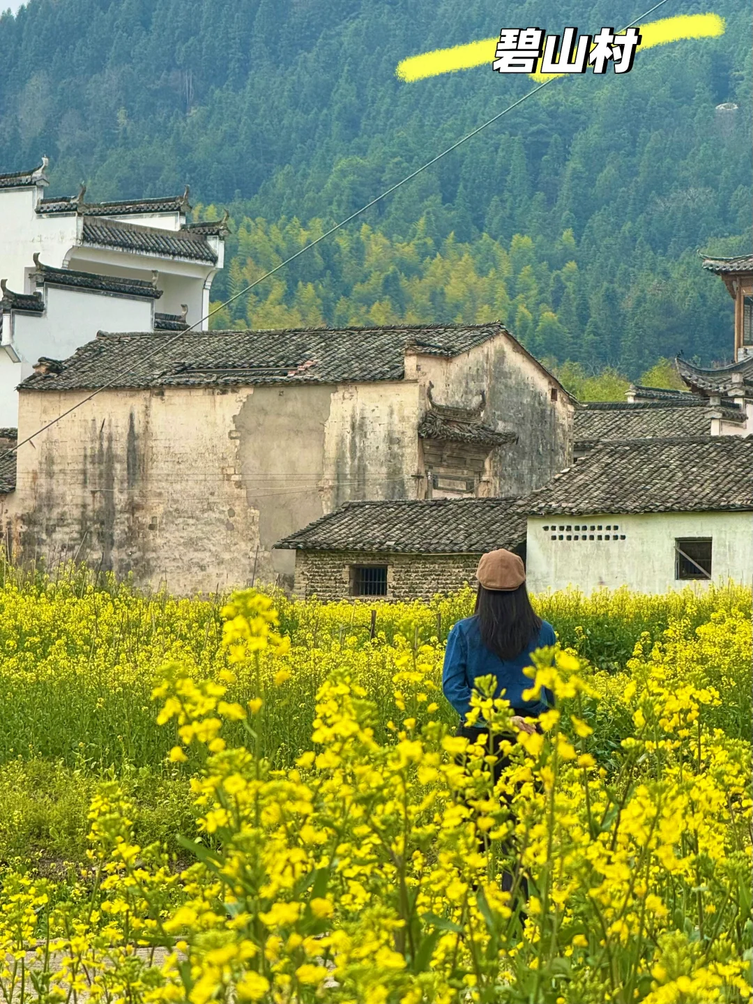 别挤宏村‼️这条私密路线承包90%皖南春色