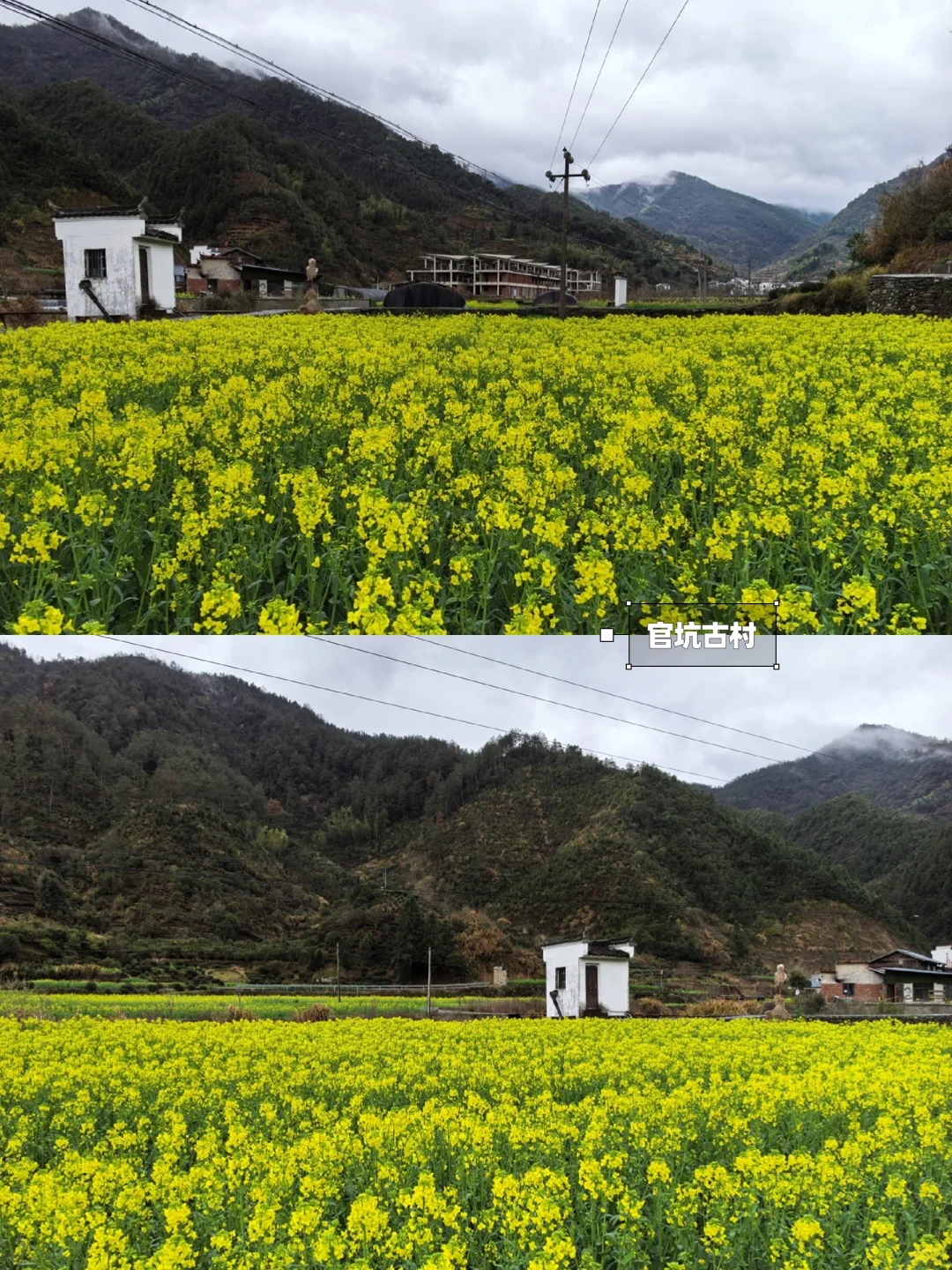 别去篁岭了！这两个婺源小众赏花地美哭了！
