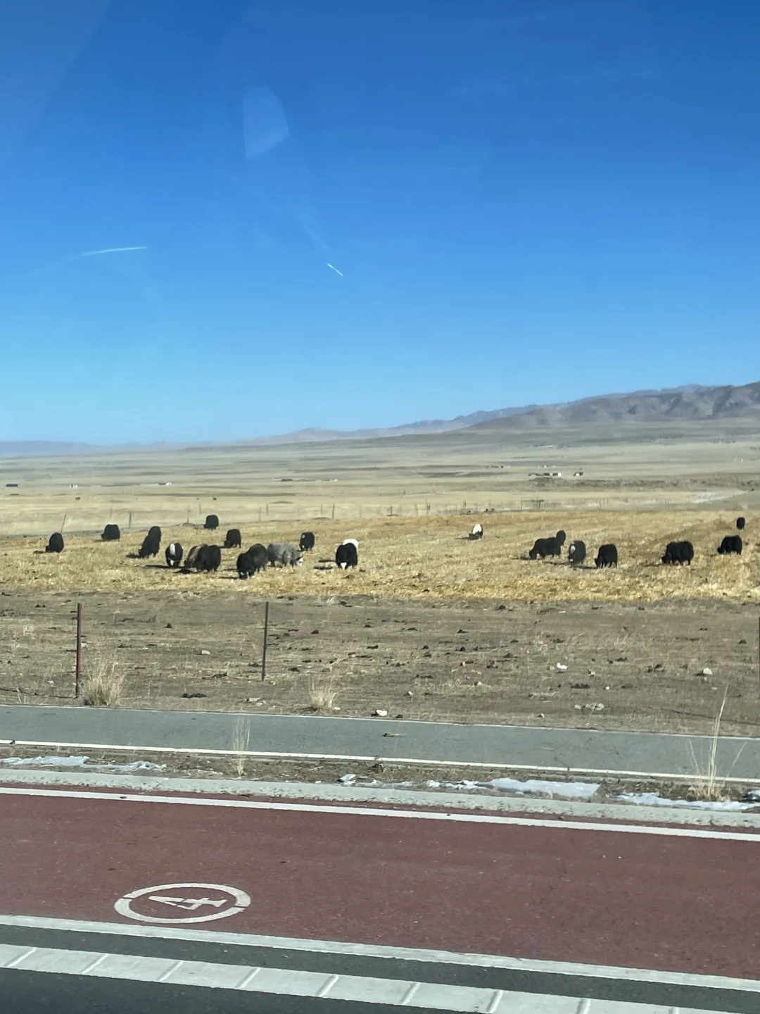 06女生一个人穷游之📍西宁