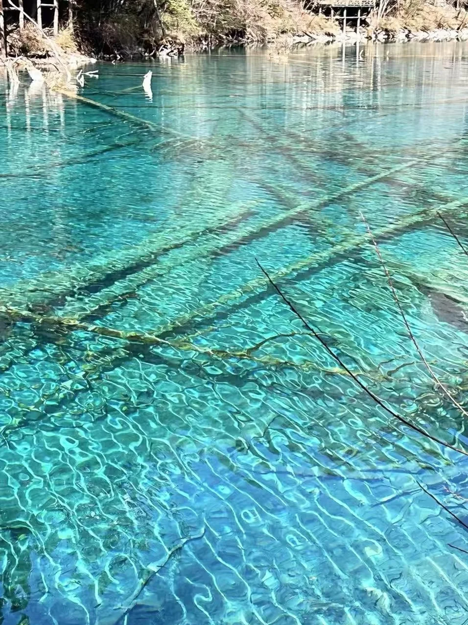 九寨沟黄龙已回，真的崩溃了！