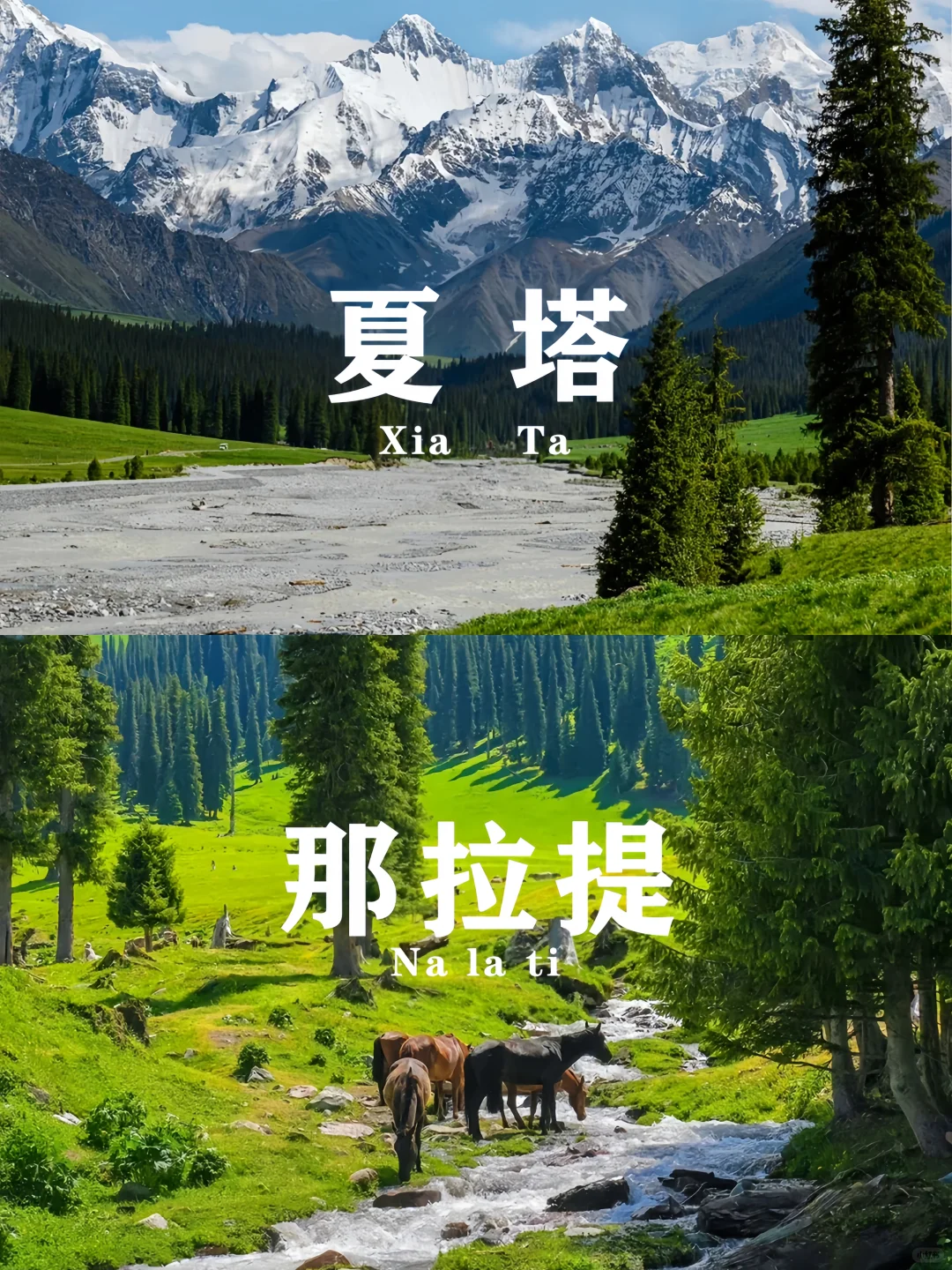 🌲新疆伊犁旅游 | 7天才用3K+💰纯玩游
