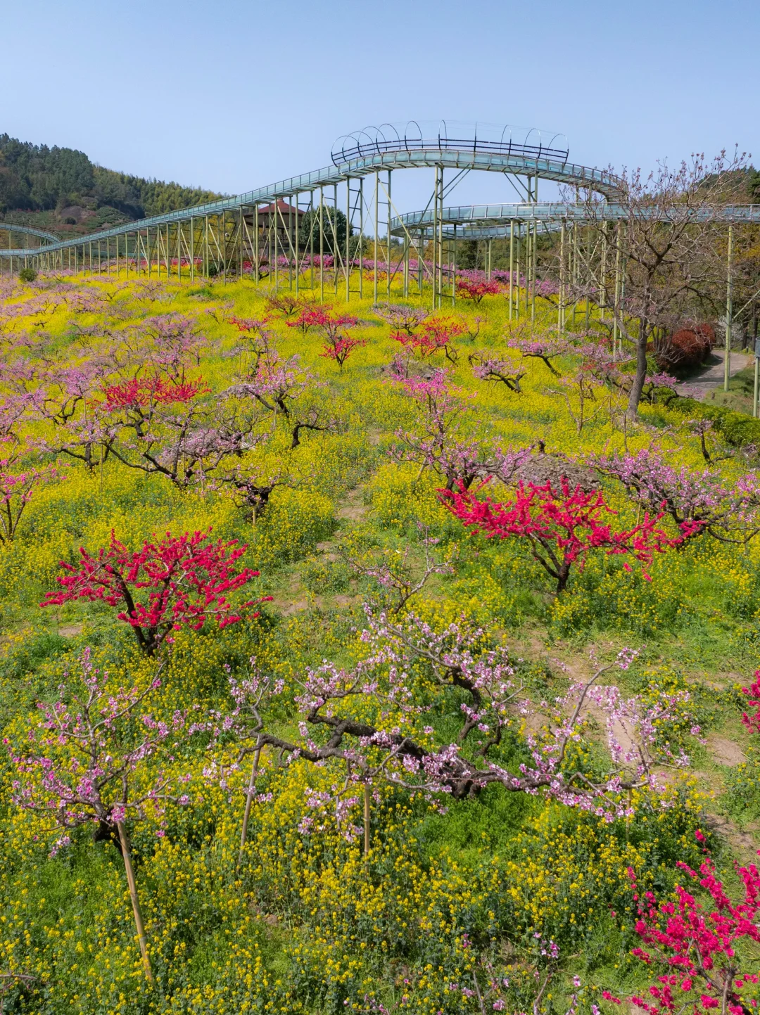 在湖州，坐上开往春天的漫画小火车