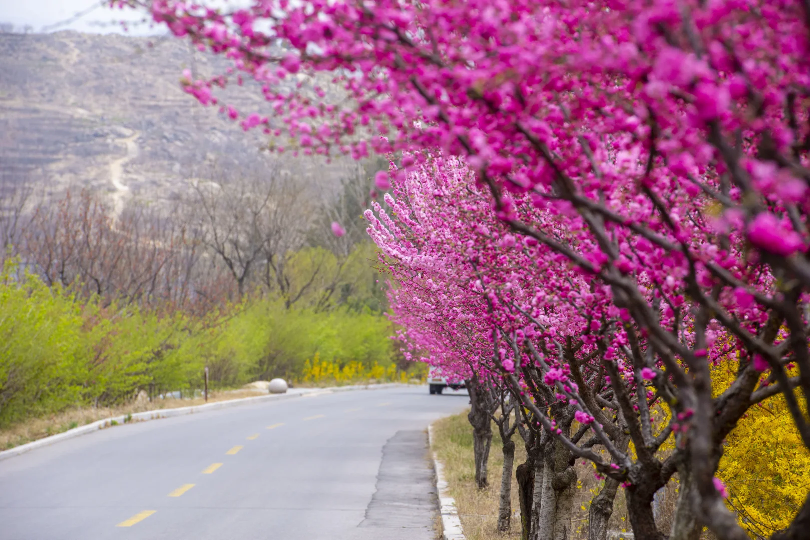 被天蒙景区美哭！一场超治愈的云端之行