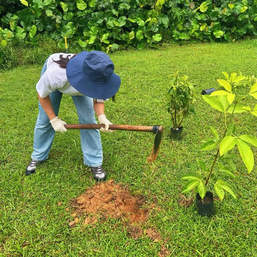 赴一场春日之约丨遇见古武当山