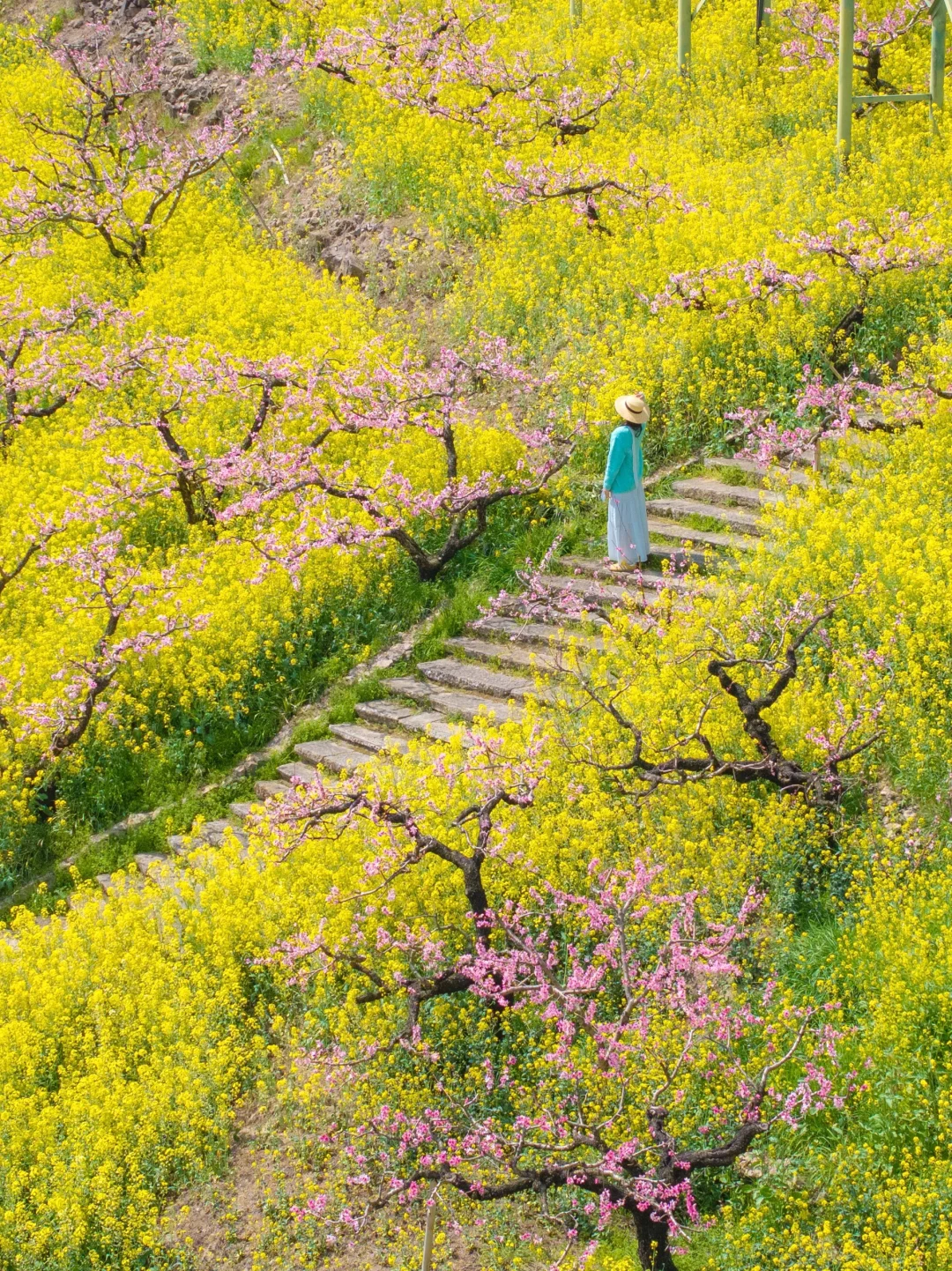 在湖州，坐上开往春天的漫画小火车