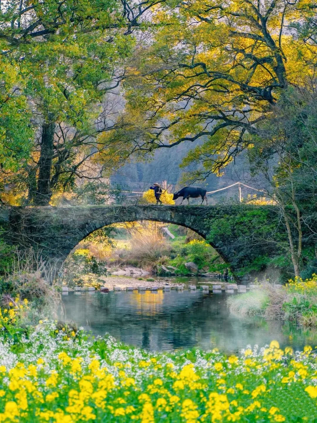 清明出游 | 2-3 天宝藏城市推荐✨