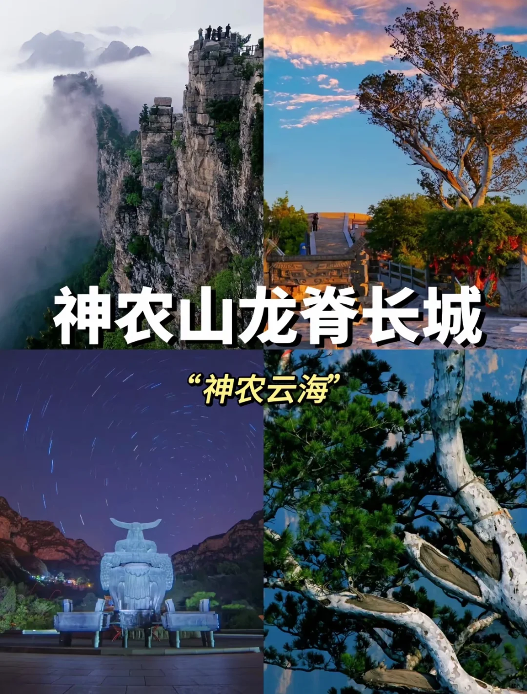 💥【焦作48小时】人均500+玩转河南秘境!