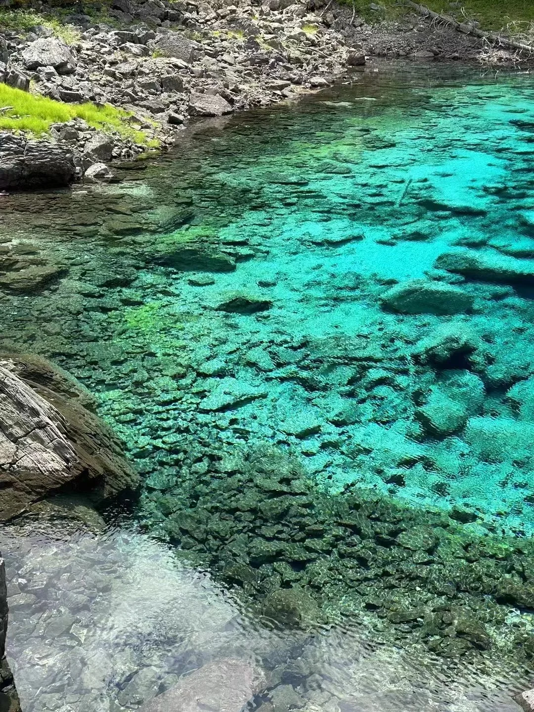 现在来九寨 三日总共468