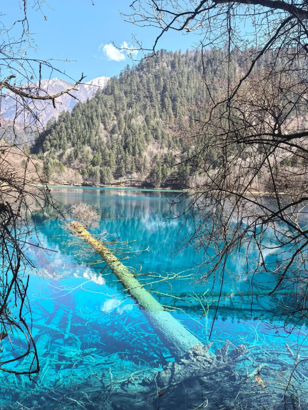 九寨沟黄龙已回，真的崩溃了！