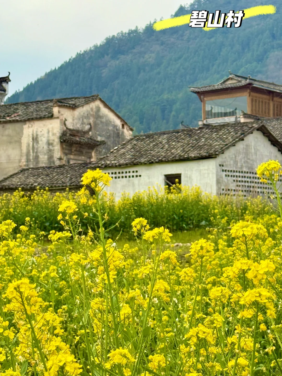 别挤宏村‼️这条私密路线承包90%皖南春色