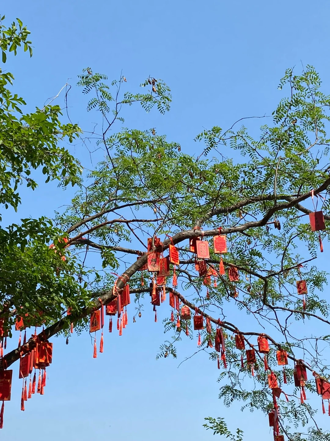 保定｜“北方小桂林”易水湖🏝️