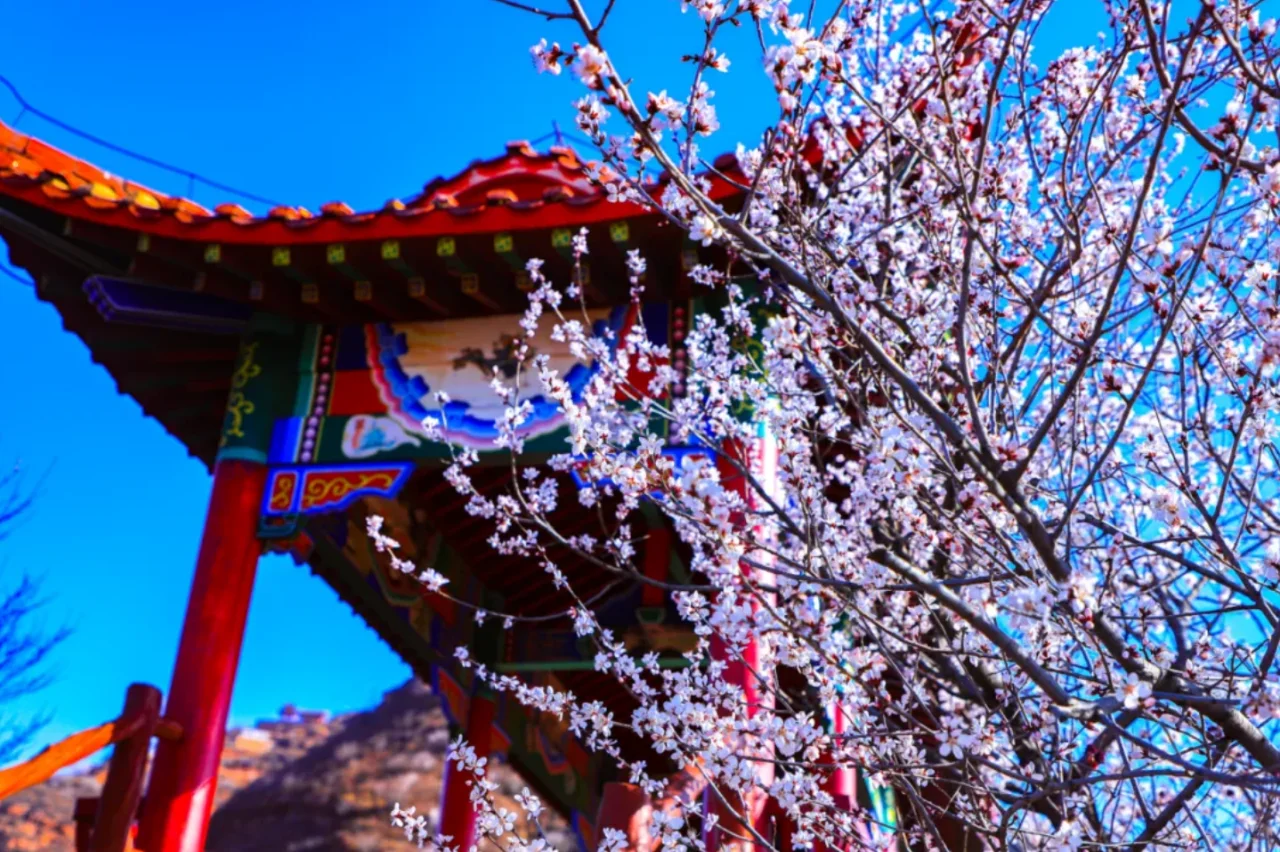 赴一场春日之约丨遇见古武当山