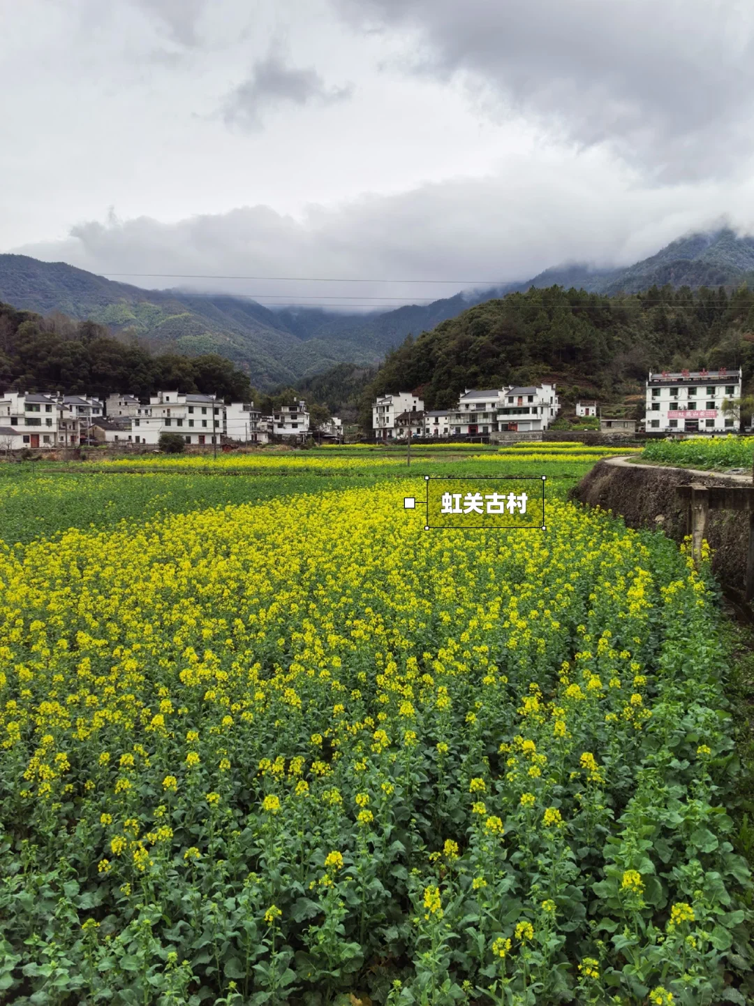 别去篁岭了！这两个婺源小众赏花地美哭了！