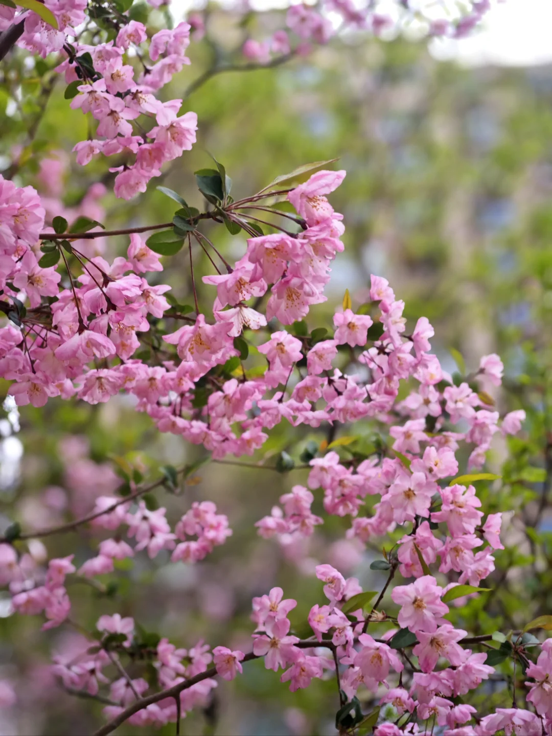 徐州金龙湖景区宕口公园体育公园户外好去处