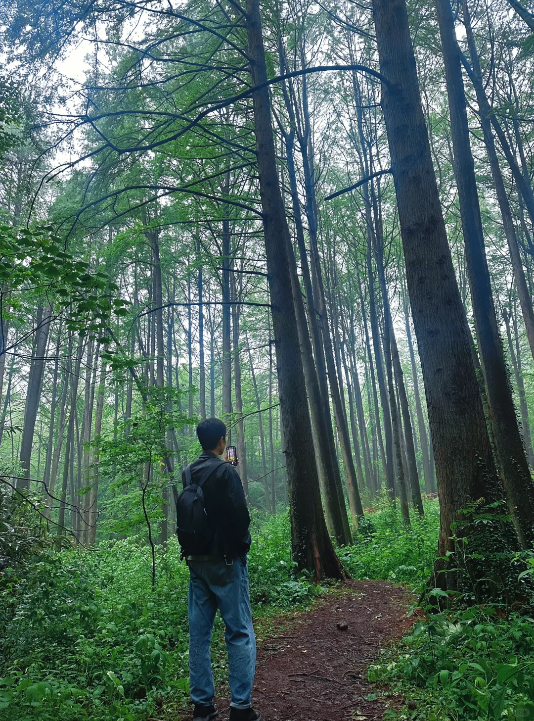 五一旅游河南私藏小众宝藏地-信阳新县
