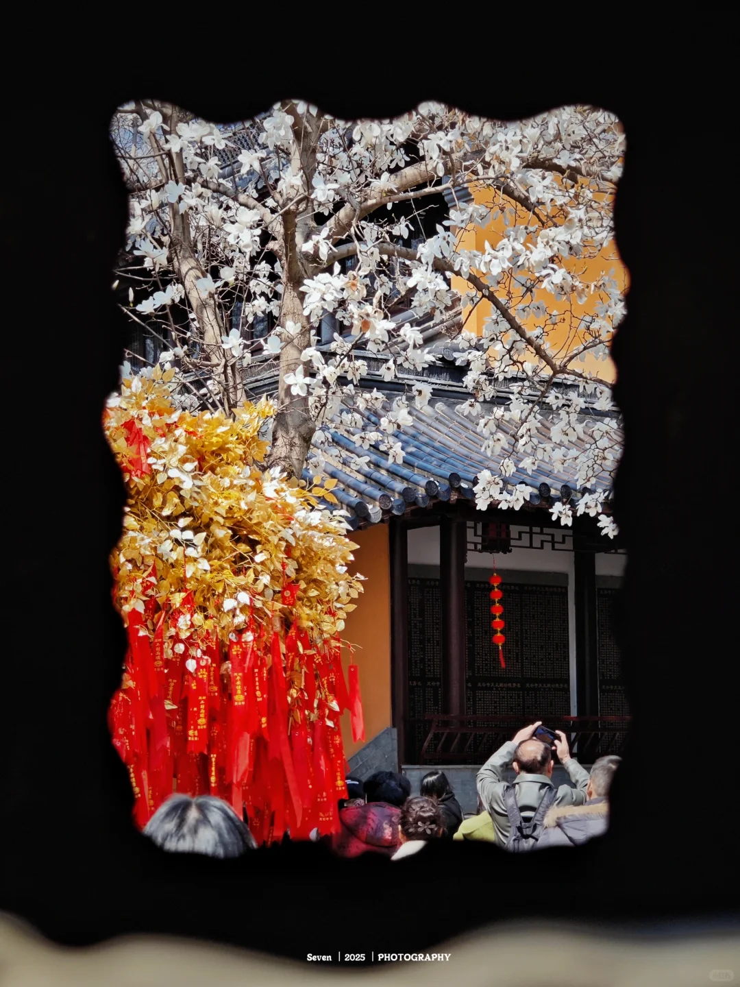 南京灵谷景区游览攻略📘