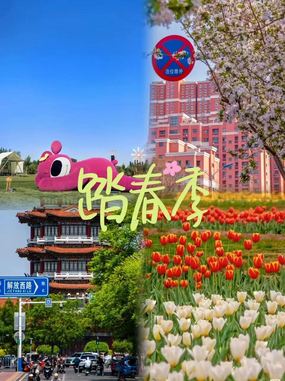 春日趣游 邂逅自然|沧州阿卡春季踏青攻略